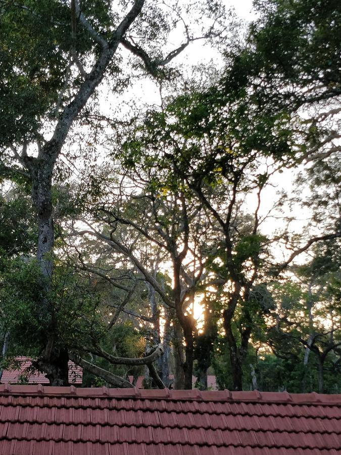 The Birchwood Retreat, Madikeri Hotell Eksteriør bilde