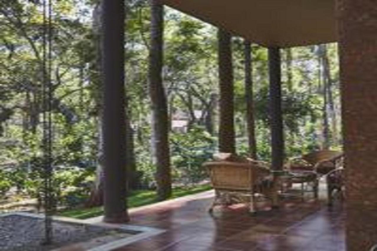 The Birchwood Retreat, Madikeri Hotell Eksteriør bilde